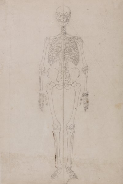A Comparative Anatomical Exposition of the Structure of the Human Body with That of a Tiger and a Cow by George Stubbs